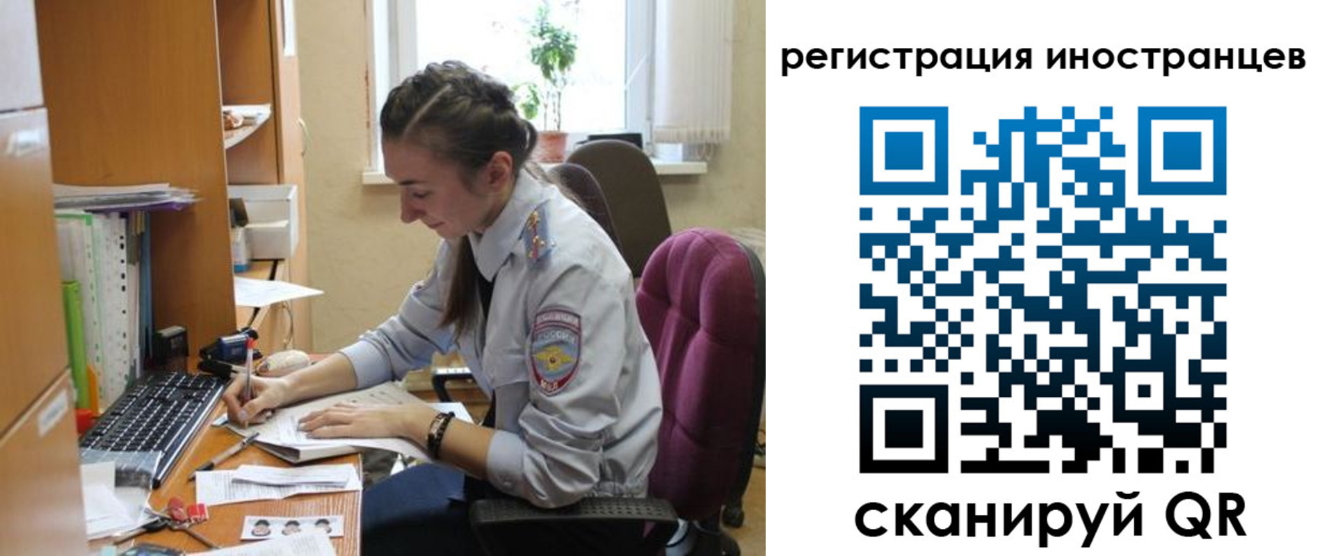временная регистрация поиск в Димитровграде
