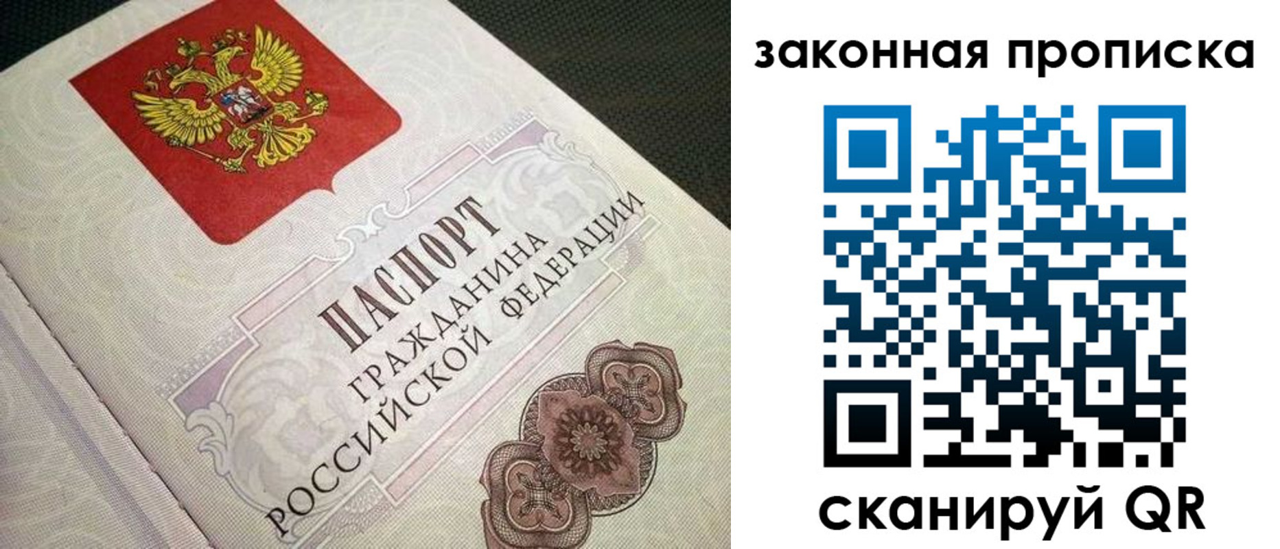 временная прописка в Димитровграде